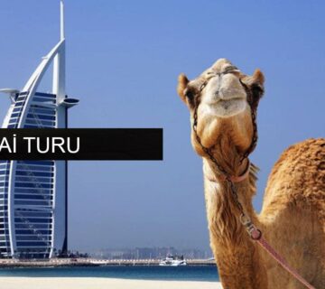 dubai turu min